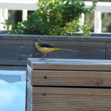 Galini بيت للعطل ميكروس جيالوس