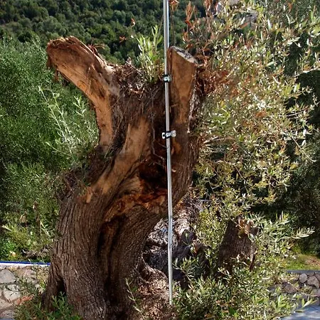 بيت للعطل Galini ميكروس جيالوس