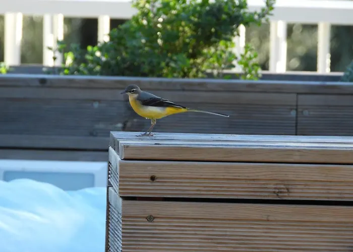 Galini 別荘 ミクロス・ギアロス