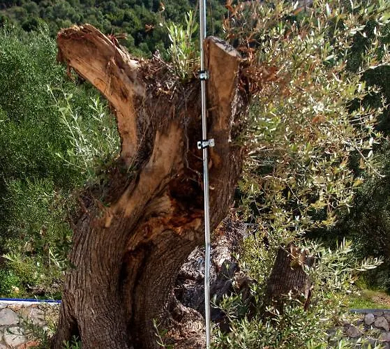 別荘 Galini ミクロス・ギアロス